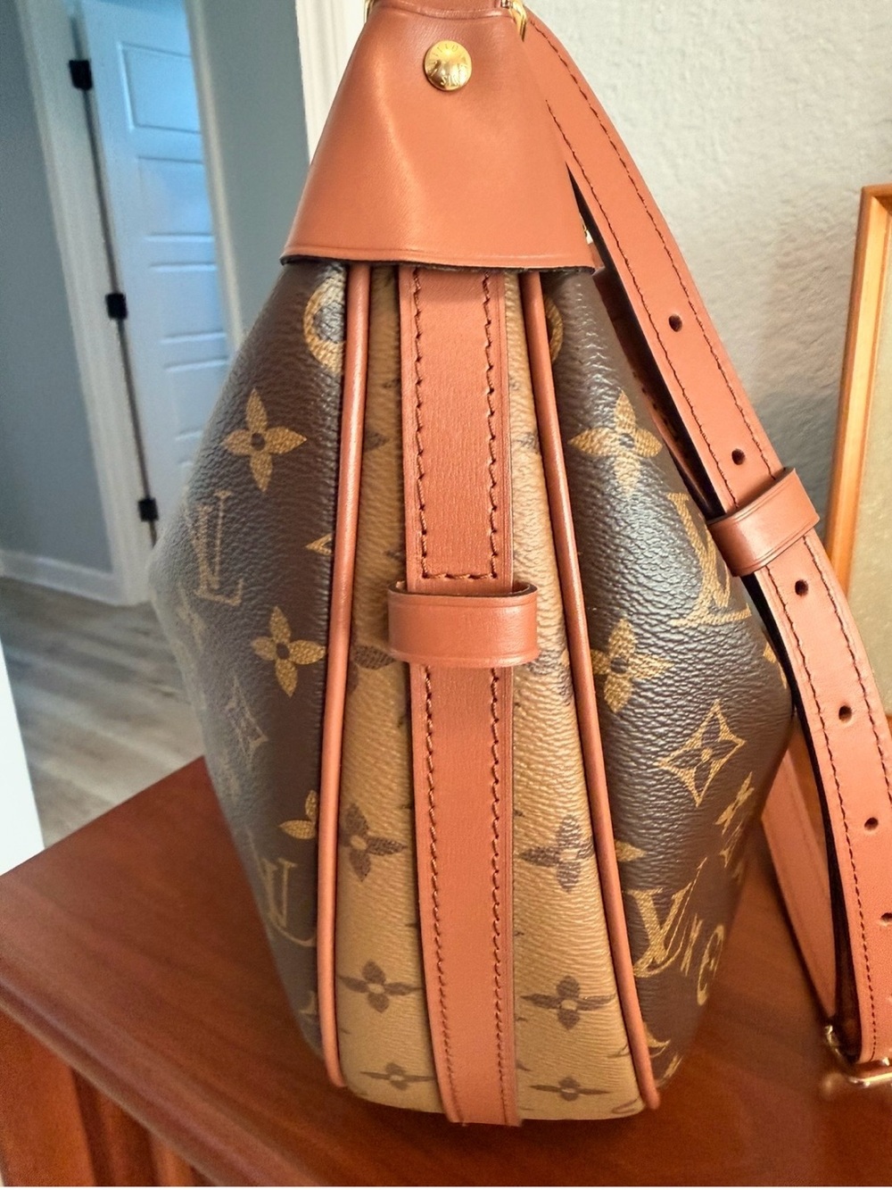 Authentic, Louis Vuitton, Loop Hobo Handbag - Picture 4 of 9